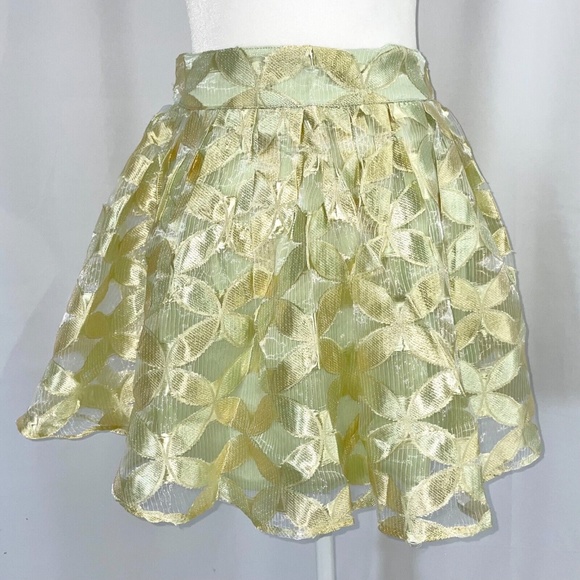 New LoveRiche Embroidered Sheer Overlay Full Mini Skirt Metallic Lime Size Large - Picture 2 of 12